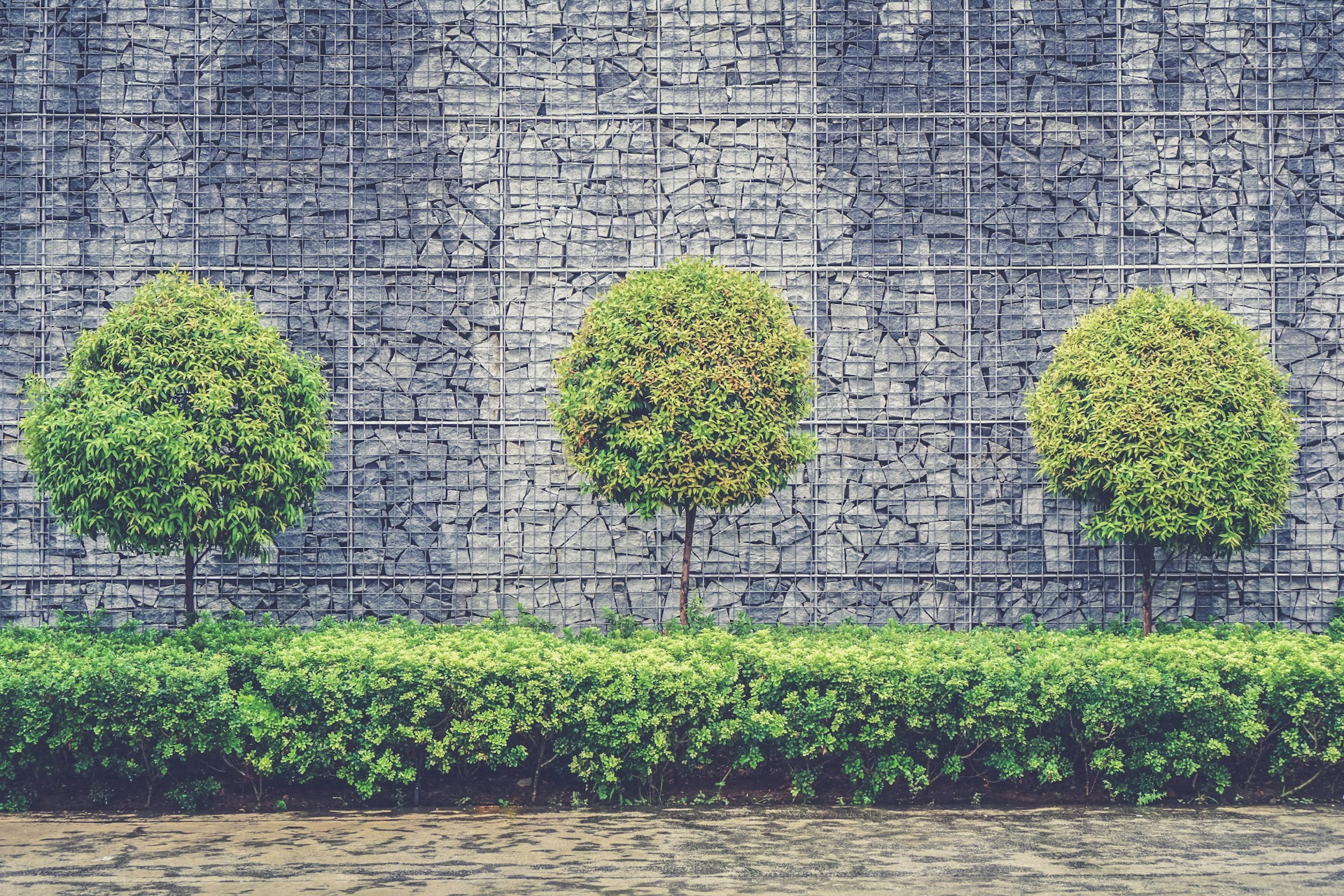 Concrete retaining wall with landscaping in Clarksville, TN